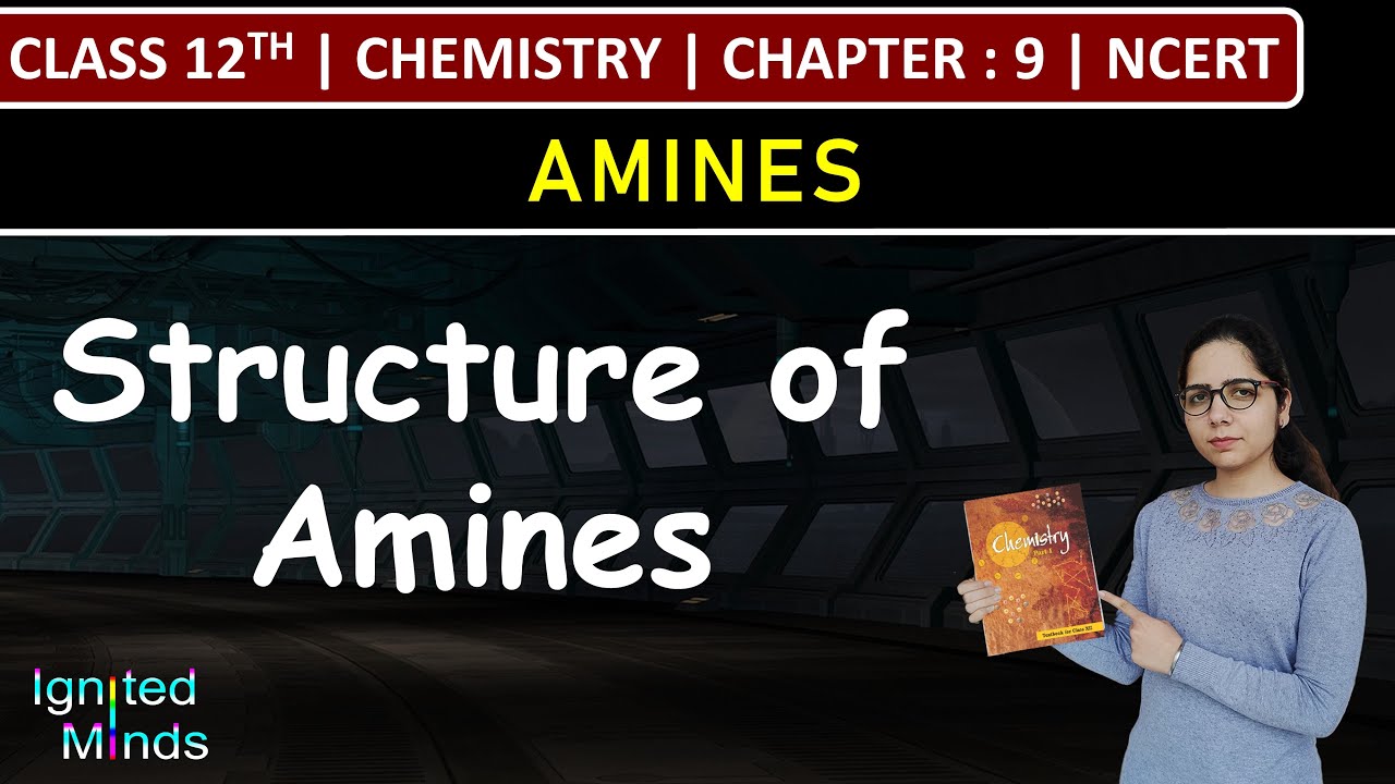 Class 12th Chemistry | Structure of Amines | Chapter 9: Amines | NCERT