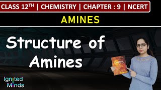 Class 12th Chemistry | Structure of Amines | Chapter 9: Amines | NCERT