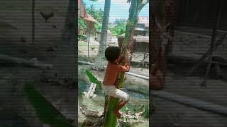 Download lagu Lihat aku sayang yang sudah berjuang mp3