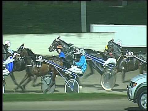 Trotto 25/11/2016 - 6ª corsa