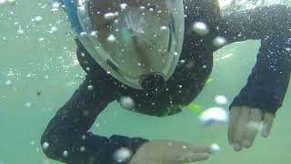 preview picture of video '20180721_Ayajin_Hayun does a Skin scuba #2'