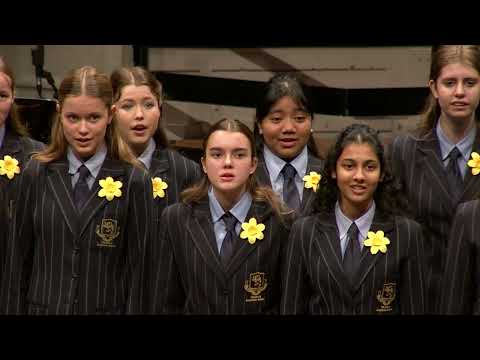 Takapuna Grammar School, Leonessa | By Night – Elaine Hagenberg