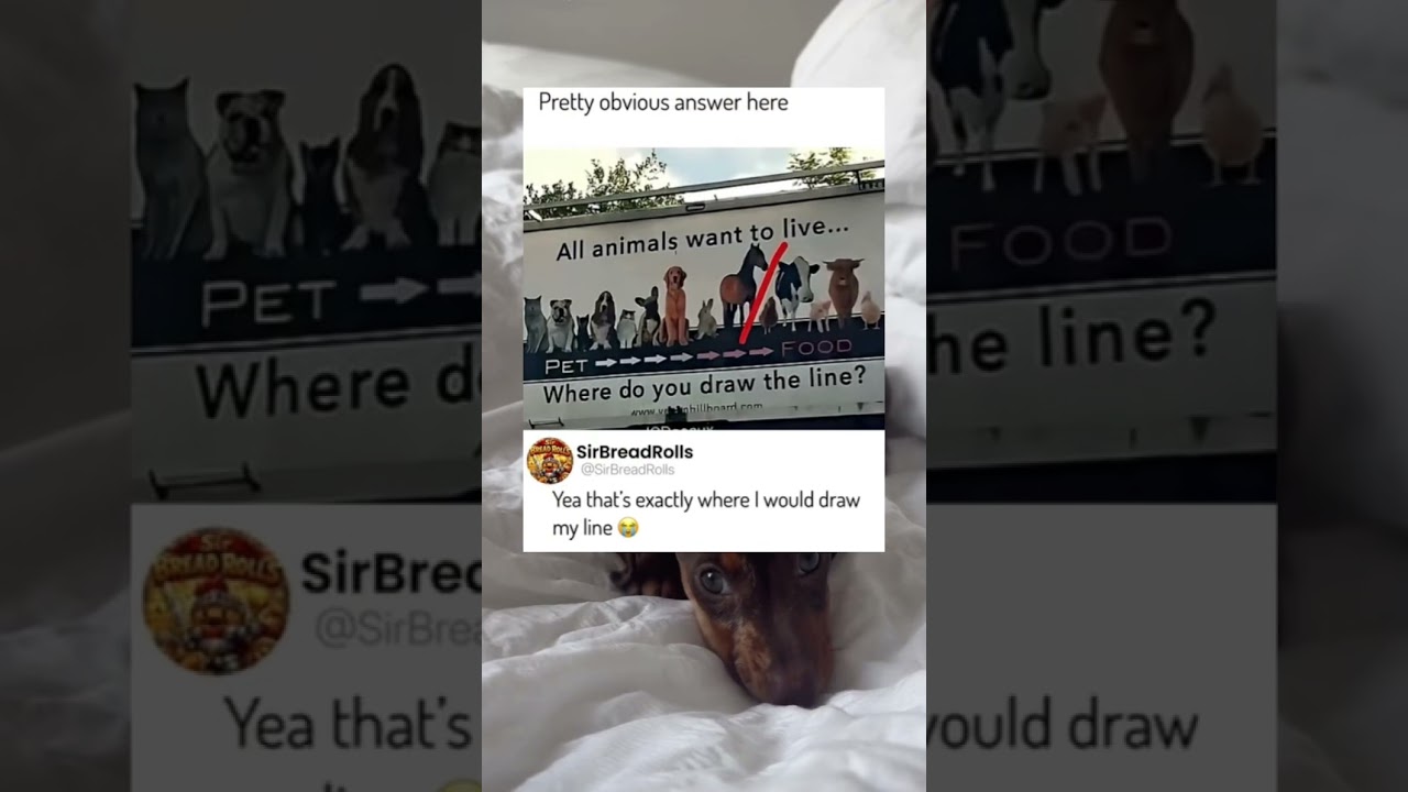 Where would you draw it? 😭🙏 #fypシ #viral #trending #tiktok