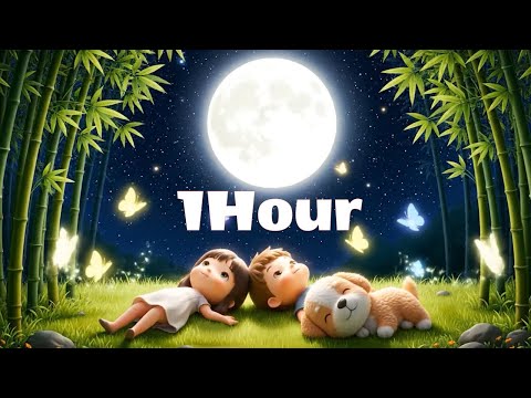Silent Moon – Chill & Relax 🌙 | 1 Hour of Calming Night Vibes, Sleep & Study Music