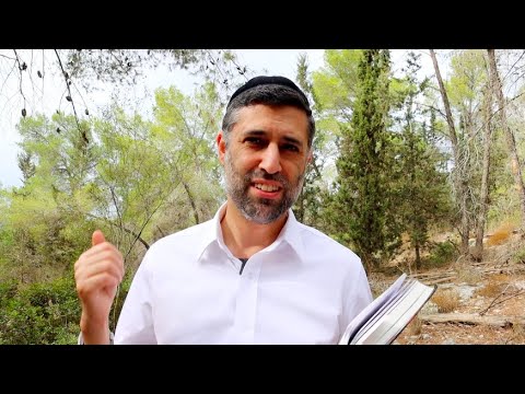 Bitachon 84 - Trust Completely in Hashem