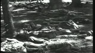 A soldier inspects dead bodies of victims of World War II in a wood in Germany. HD Stock Footage