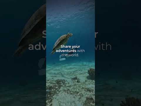 潛水星球 video thumbnail