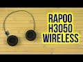 Rapoo H3050 Grey - видео