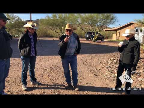 Basics of Every Mule: What Owners Need to Know