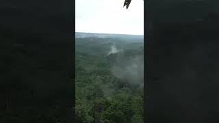 Download lagu Welcome to the Jungle of Borneo #shorts #jungle #mountains #borneo mp3