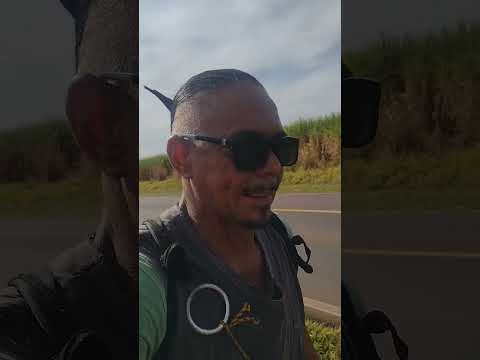 TV CHINA INFORMA GUAIÇARA INTERIOR DE SP. PISTA SEM ACOSTAMENTOS MUITAS MORTES AQUI