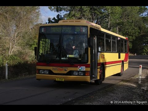 CDC Hillsbus [Dural] Mercedes-Benz O405 Mk II / Custom Coaches 510, m/o 7718