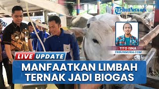 Keren! Limbah Ternak di Jepara Disulap Jadi Biogas & Wisata Edukasi