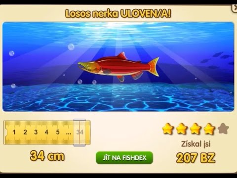 download lagu mp3 mp4 Sockeye Losos, download lagu Sockeye Losos gratis, unduh video klip Sockeye Losos