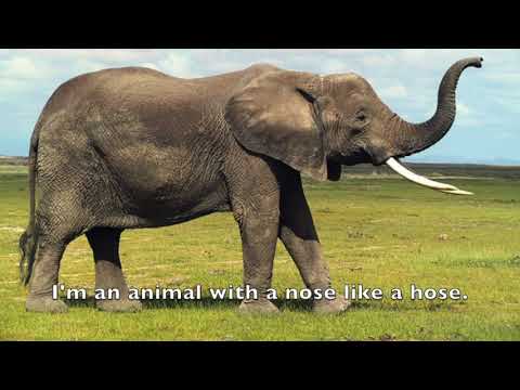 "Finding Tobias" Part 14 - Dragon Impressions