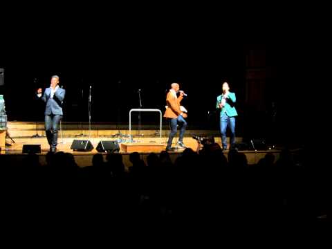 Die Herren Simple live im Johannes-Brahms-Saal, Februar 2013