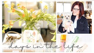 DAYS IN THE LIFE | run errands with me, new beauty & Archie update