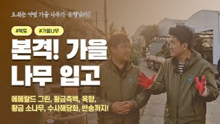 가을맞이 입고 식물 대공개! 지금 JB에서 업어 가세요 ????????