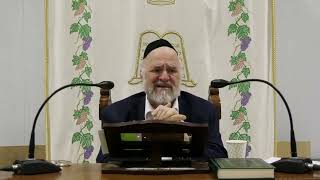 דרשת חג הפורים תשפ"ו הרב ברוך רוזנבלום בשיעור על חג הפורים ופרשת תצוה מבקשי ה' אלעד (רבנים שונים) - התמונה מוצגת ישירות מתוך אתר האינטרנט יוטיוב. זכויות היוצרים בתמונה שייכות ליוצרה. קישור קרדיט למקור התוכן נמצא בתוך דף הסרטון דרשת חג הפורים תשפ"ו הרב ברוך רוזנבלום בשיעור על חג הפורים ופרשת תצוה מבקשי ה' אלעד (רבנים שונים) - התמונה מוצגת ישירות מתוך אתר האינטרנט יוטיוב. זכויות היוצרים בתמונה שייכות ליוצרה. קישור קרדיט למקור התוכן נמצא בתוך דף הסרטון