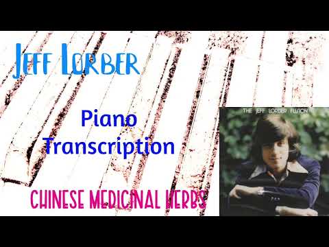 Jeff Lorber PIANO SOLO Transcription. "Chinese Medicinal Herbs"