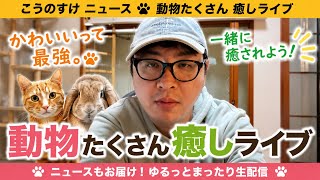 こうのすけ　ニュース　動物たくさん　癒しなど