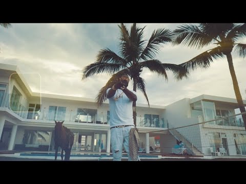 Harvey Stripes - Pablo [Official Video]