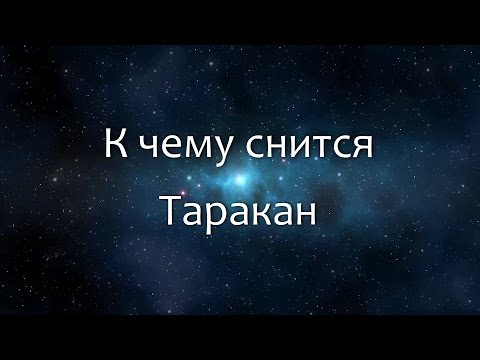 К чему снится Таракан (Сонник, Толкование снов)