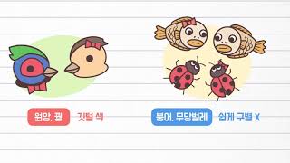 과학 3학년1학기 3단원 2차시 영상(48-49p)