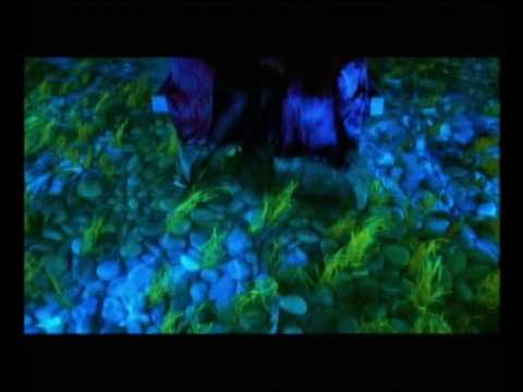 Vip Music Club Lp - Madonna