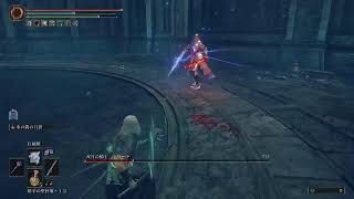 ELDEN RING DLC編 1年ぶり通算2周目初めての魔術師ビルド