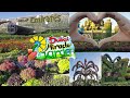 DUBAI Miracle Garden 2022 2023 Open Now Season 11 World S Largest Flower Garden 2022