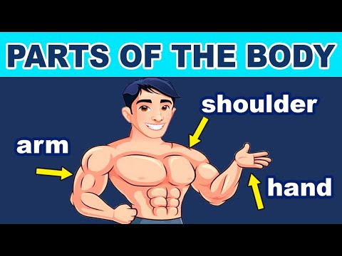 ✅ Las partes del cuerpo en inglés 💪🏼 🦵🏼 🦶🏼 👍🏻 Video