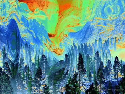 Boogie mushroom - Acid mountain [Acidcore\Techno tribe]