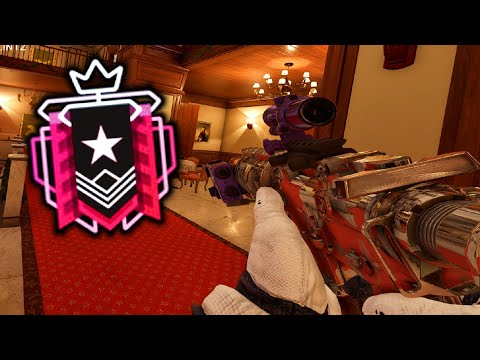 The Best Buck In Latam | Insane 4k's