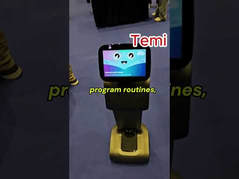 Temi 3 Review Video 2