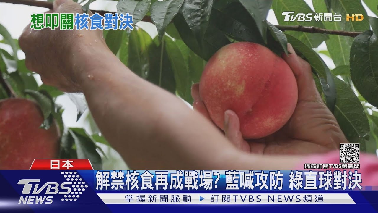 解禁核食再成戰場?藍喊攻防 綠直球對決
