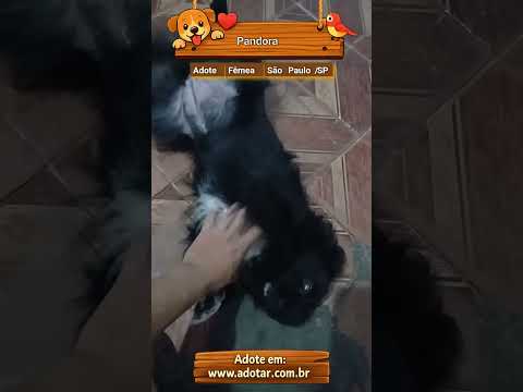 Vídeo de Pandora 