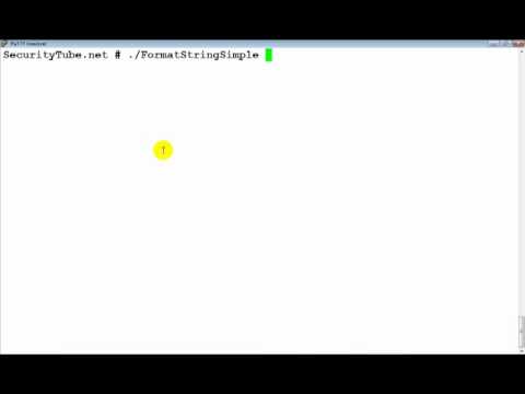 Format-String-Vulnerabilities-Primer-(Part-2-Crashing-the-Program)