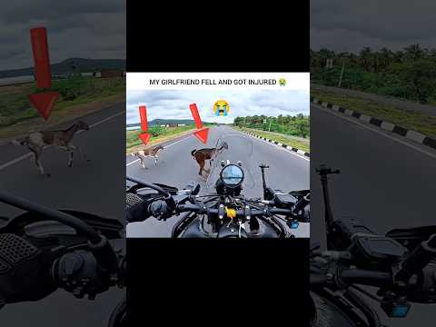 𝗣𝗿𝗮𝘆 𝗙𝗼𝗿 𝗚𝗼𝗮𝘁 🐶😰💥 𝗠𝗼𝘁𝗼𝘃𝗹𝗼𝗴𝘀  #shorts #goat  #motovlog