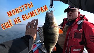 Рыбалка в весьегонске форум 2020 марта