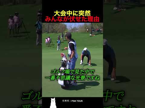 大会中に突然みんなが伏せた理由