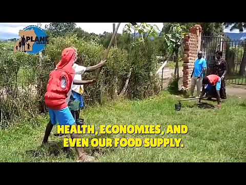 Support Greening Uganda Schools 1,000,000 Trees