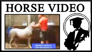 Do Not Watch The Horse Video