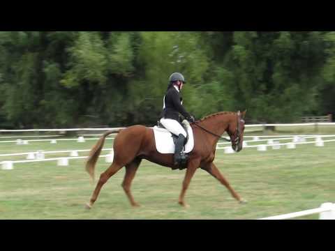 Tuki Stargazer - NHB Horse Trial - Dressage A3