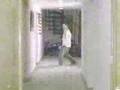 Funny Dance Video