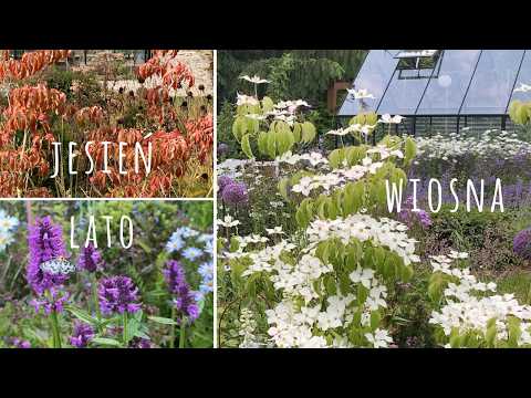 How to plan a flowerbed without gaps in bloom? 🌸 Flowers all season long