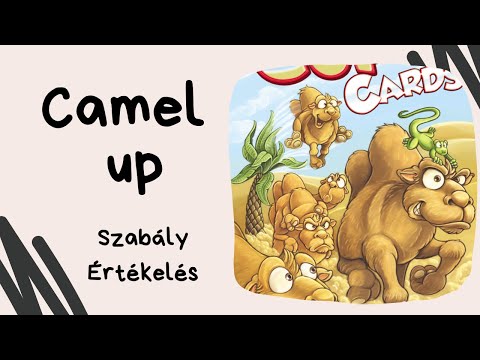 Fogadás a tevefutamon: Camel up kártyajáték játékbemutató és szabályismertető - Társasozz Okosan!