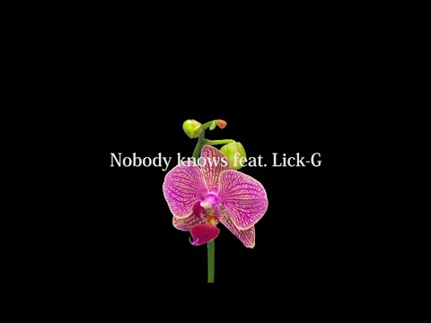 KEN THE 390 / Nobody Knows feat. Lick-G (Lyric Video)