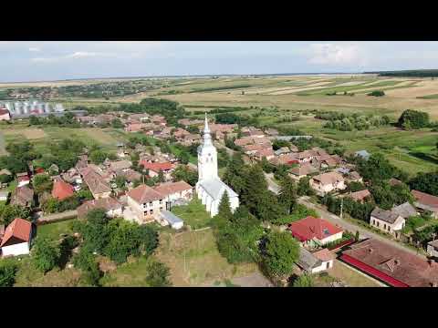 Madárlátta Érmellék - Albis