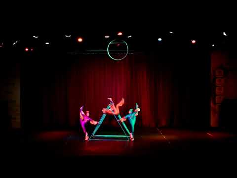 775 acrobatic trio fishes